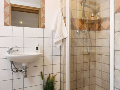 Шале Le Castle Шамони