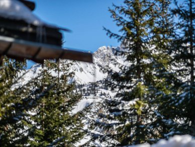 Chalet Ima Courchevel 1850