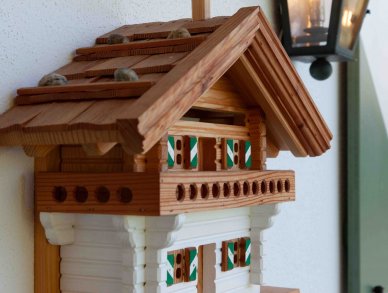 Шале Kitz Кицбюэль