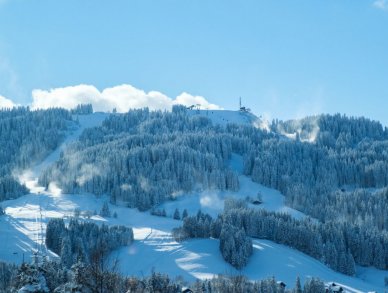 Шале Mandala Межев