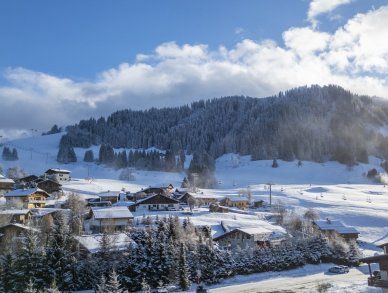 Chalet Impala Megeve