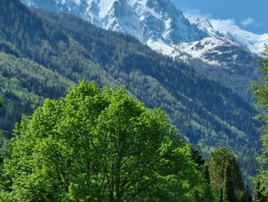 Chalet Les Melezes Chamonix