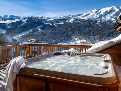 Пентхаус Falcon Lodge A40 Мерибель