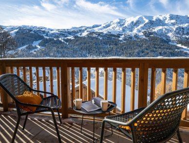 Apartment Falcon Lodge B20 Meribel