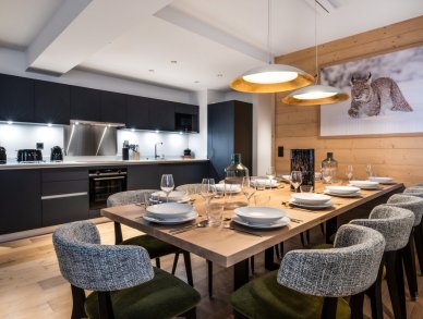 Apartment Falcon Lodge A11 Meribel