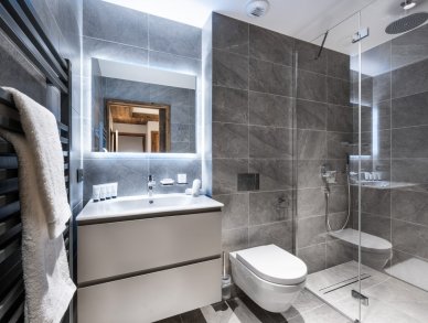 Apartment Falcon Lodge A02 Meribel