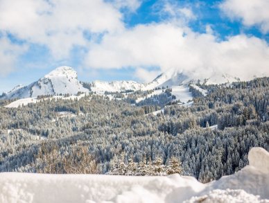 Шале Maison d’Hiver Ле же