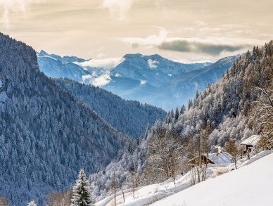 Шале Maison d’Hiver Ле же