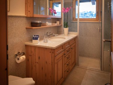 Апартаменты Adona Loft Церматт