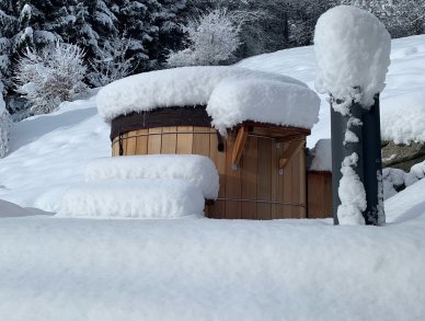 Шале Les Gougnats Кордон