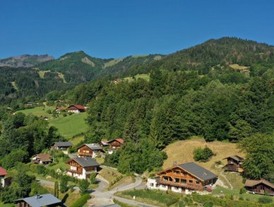 Шале Les Gougnats Кордон