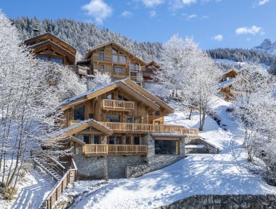 Chalet Alpine Roc Meribel