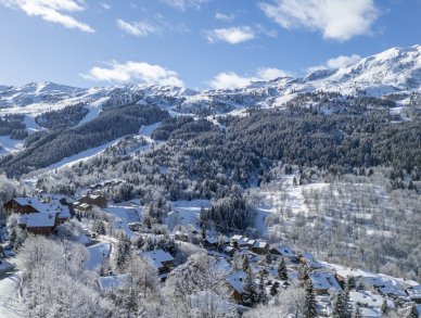 Chalet Alpine Roc Meribel