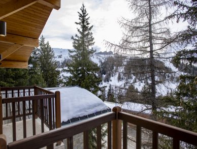 Chalet du Bois Melay La Plagne