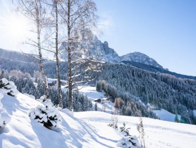 Villa Carolina Валь-Гардена