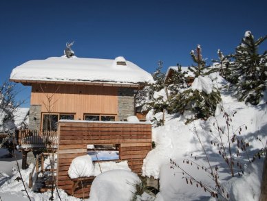 Шале Caro Мерибель