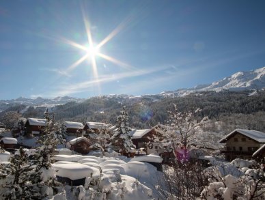 Шале Caro Мерибель