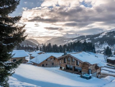 Шале Les Sapins Ле же