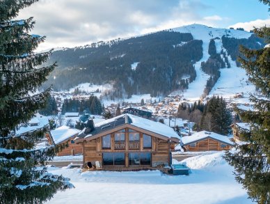 Шале Les Sapins Ле же