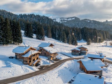 Шале Les Sapins Ле же