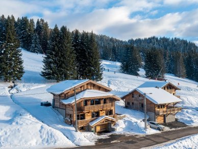 Шале Les Sapins Ле же