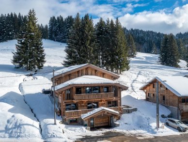 Шале Les Sapins Ле же