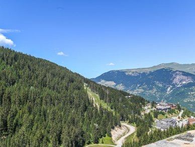 Пентхаус Le Bois de l'Ours Куршевель 1650