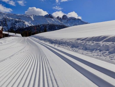 Chalet Artemisia Courchevel 1650