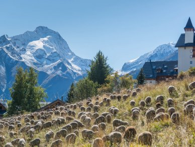 Chalet Le Lievre Blanc Les Deux Alpes