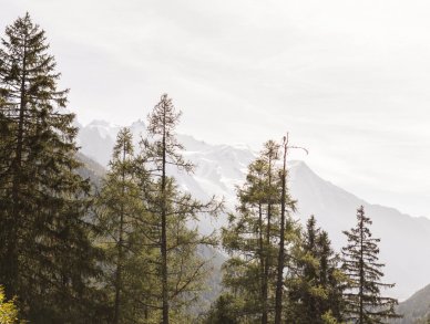 Шале La Bergerie Шамони Аржантьер