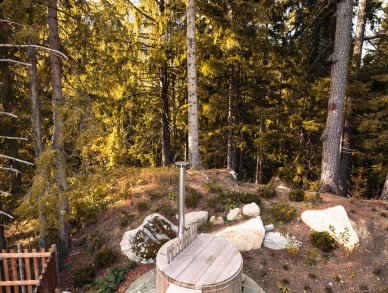 Шале La Bergerie Шамони Аржантьер