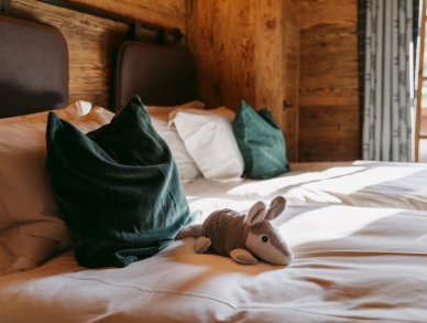 Chalet Feuillu Verbier