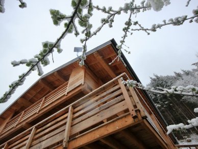 Chalet Meuniers Morzine Montriond