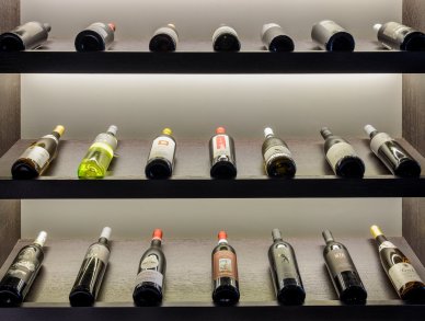 Villa Paznauner Капль