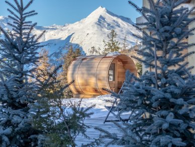 Шале Bela Vya O Лез-Арк 1600