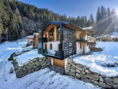 Chalet Green Forest Chamonix