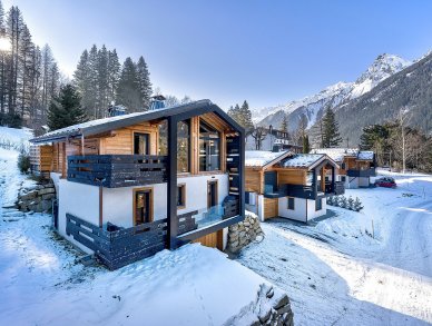 Chalet Green Forest Chamonix