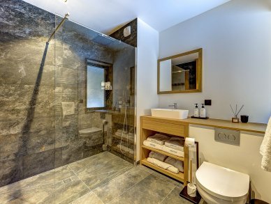 Шале Silver Forest Шамони