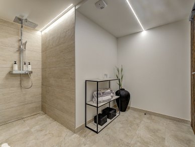 Шале Silver Forest Шамони