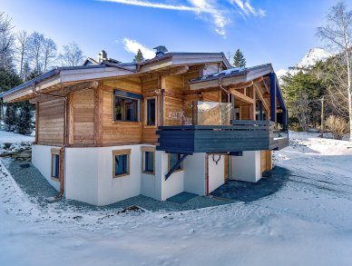 Шале Silver Forest Шамони