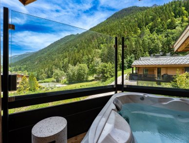 Шале Silver Forest Шамони