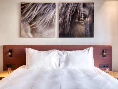 Апартаменты Lodge Amore Межев