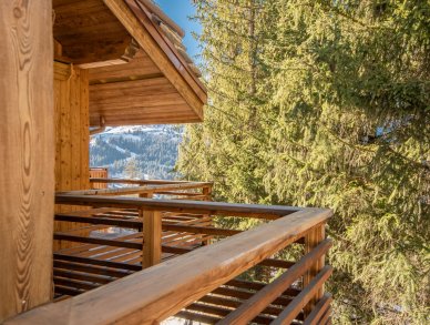 Chalet Serenis Meribel