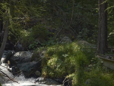 Шале Heritage Carrel Червиния