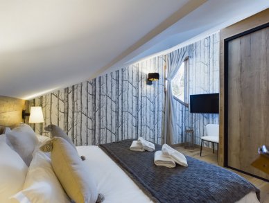 Penthouse Anemone 141 Courchevel 1650