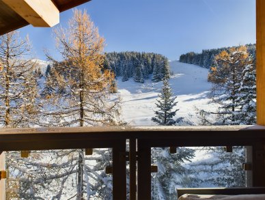 Penthouse Anemone 141 Courchevel 1650
