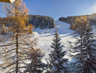 Penthouse Anemone 141 Courchevel 1650