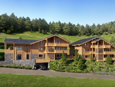 Пентхаус Joy Морзин