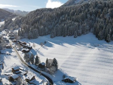 Пентхаус Joy Морзин