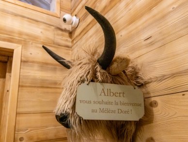 Chalet Mélèze Doré Meribel